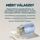 Myprotein KSM-66® Ashwagandha Kapszula