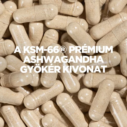 Myprotein KSM-66® Ashwagandha Kapszula