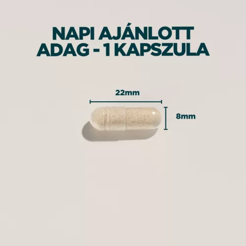 Myprotein KSM-66® Ashwagandha Kapszula