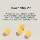 Mi az a Kreatin?