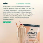 Myprotein Impact Whey Protein Milkshake